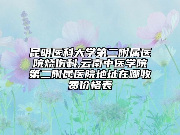 昆明醫(yī)科大學(xué)第二附屬醫(yī)院燒傷科,云南中醫(yī)學(xué)院第二附屬醫(yī)院地址在哪收費價格表