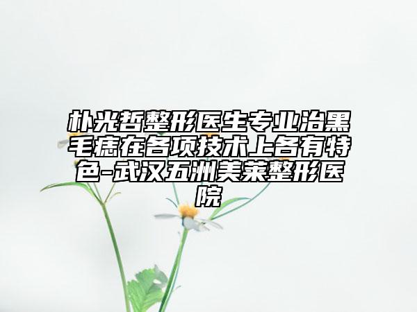 樸光哲整形醫(yī)生專業(yè)治黑毛痣在各項技術(shù)上各有特色-武漢五洲美萊整形醫(yī)院