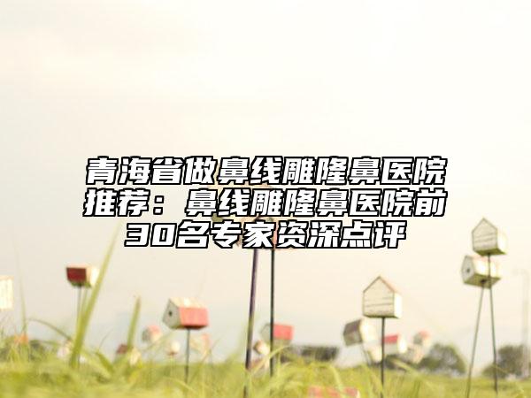 青海省做鼻線雕隆鼻醫(yī)院推薦：鼻線雕隆鼻醫(yī)院前30名專家資深點(diǎn)評
