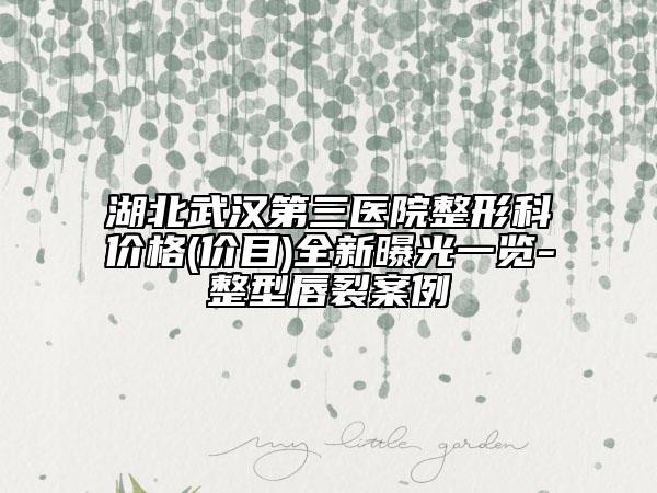 湖北武漢第三醫(yī)院整形科價(jià)格(價(jià)目)全新曝光一覽-整型唇裂案例